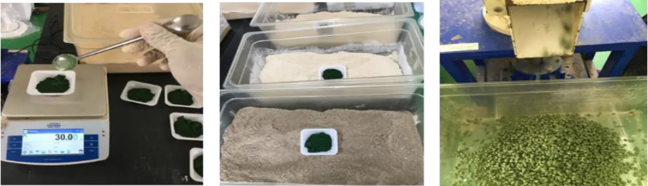 Figure 5. Preparation of digestibility test diets. 
