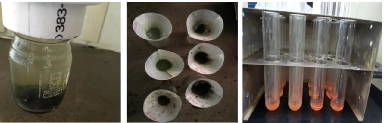 Figure 6. Fecal collection and chromic oxide analyzing. 