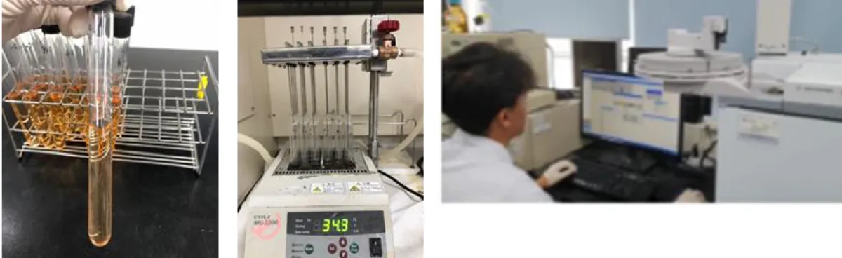 Figure 7. Fatty acid analysis of the diets and whole-body samples. 