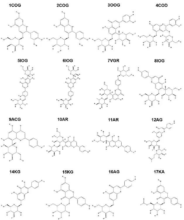 Figure 1-9. Common flavonoid glycosides structures. 