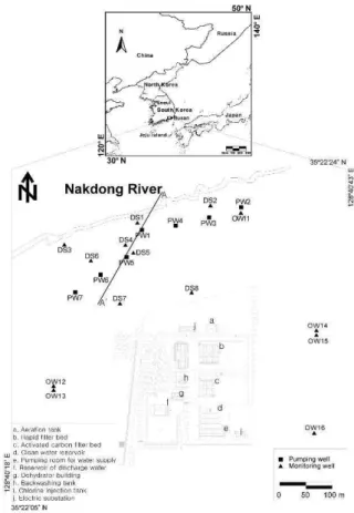 Fig. 1. Location of Pumping and Observation Wells at Daesan-Myeon (부산대학교, 2007) 2.2 보유 자료 대산정수장은 국내에서 강변여과 현장의 지하수위를 5년 이상 지속적으로 관측하고 있는 유일한 지역으로 시계열 분석에 충분한 기간의 자료를 확보하고 있다.