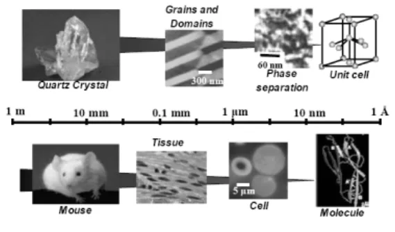 Fig.  1 The  comparison  the  size  of  materials  and  biological  objects