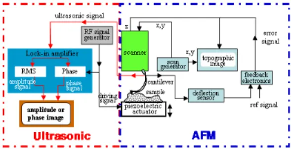 Fig.  5 Schematic  diagram  of  UAFM;  combining  novel  AFM  (blue  dotted  line)  and  ultrasonic  property  (red  dotted  line)