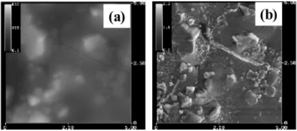 Fig.  7 The  topographic  image  and  acoustic  image  of  amorphous  carbon  film;  (a)  AFM  image  and  (b)  UAFM  image  showing  void  (A)  and  secondary  phase  (B)