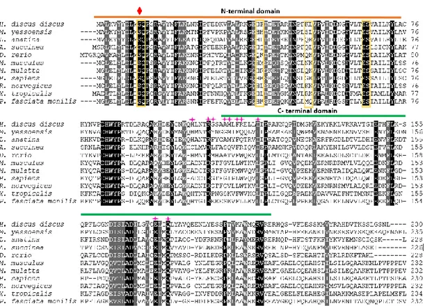 Fig. 1. Multiple sequence alignment of the amino acid sequences of AbGST-θ and its  orthologs from different organisms