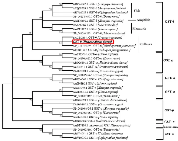 Fig.  3. A phylogenetic tree constructed using the neighbor-joining method based on  different classes of GSTs
