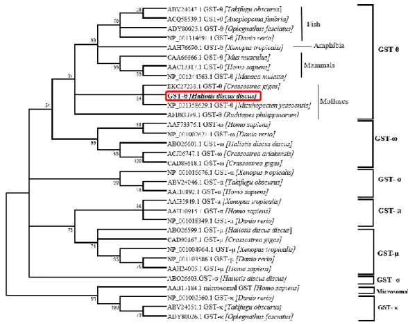 Fig.  3. A phylogenetic tree constructed using the neighbor-joining method based on  different classes of GSTs