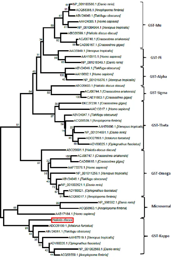 Fig.  4. A phylogenetic tree constructed using the neighbor-joining method based on  different classes of GSTs