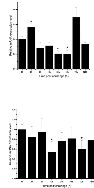 Fig.  9. Relative mRNA expression, analyzed by qPCR of AbGST-κ over time in gill  tissue (A, B, C), and hemocytes (D, E, F) in response to challenges with LPS (A, D),  poly  I:C  (B,  E),  and  Vibrio  parahaemolyticus  (C,  F)