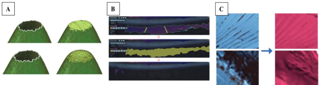 Figure 9. Modeling of restoration part 2. (A) Chimi of Wangheungsa temple site, (B) Edited data - South chimi, (C)  Edited data - North chimi.
