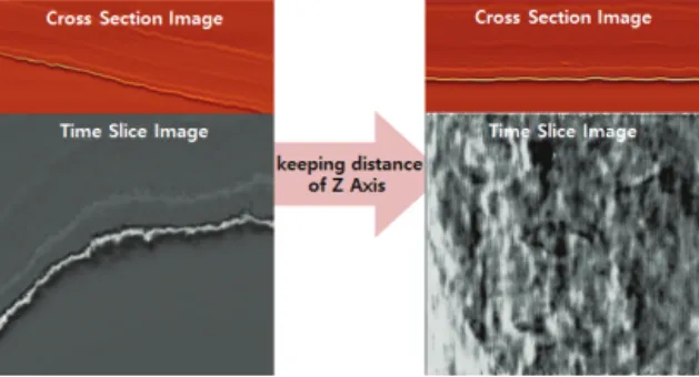 Figure 5. A correction results of cross section and time  sliced image using Z-axis working distance maintaining  device.