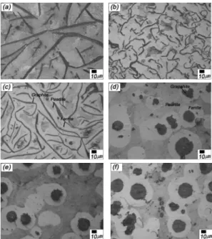 Fig.  1 Optical  microstructure  of  the  gray  cast  iron  and  ductile  cast  iron:  (a)  C1,  (b)  C2,  (c)  C3,  (d)  D1,  (e)  D2,  and  (f)  D3 