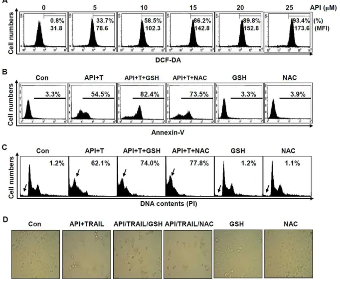 Fig. 4. Apigenin-induced ROS protected TRAIL-induced apoptosis. (A) Hep3B cells were stimulated  with indicated concentration (0 - 25 μM) of apigenin for 1 h