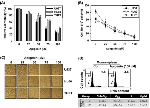 Fig. 1. Apigenin decreases cell viability and proliferation in leukemia cell lines. Cells were seeded at  1×105 cells/ml and treated with the indicated concentrations of apigenin for 24 h