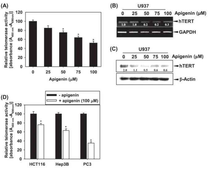 Fig. 4. Apigenin inhibits telomerase activity and hTERT expression. (A) Cells were treated with the  indicated  concentration  of  apigenin  for  24  h