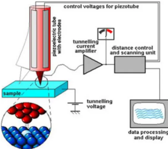 Fig.  7 Schematic  diagram  of  AFM 