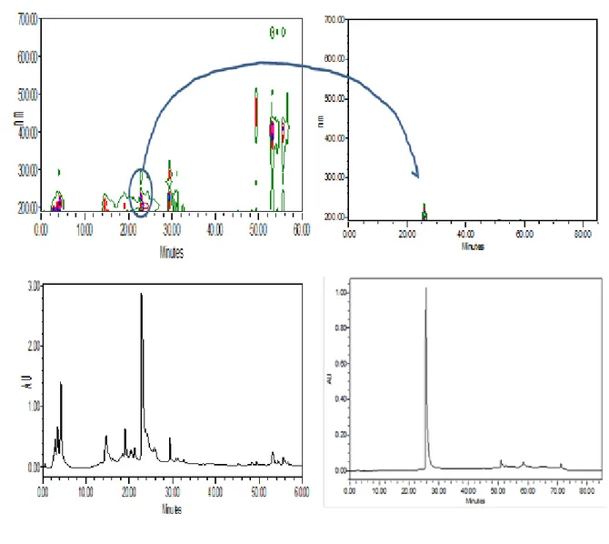 Fig. 3. HPLC fingerprinting analysis of P.japonica chloroform extract. 