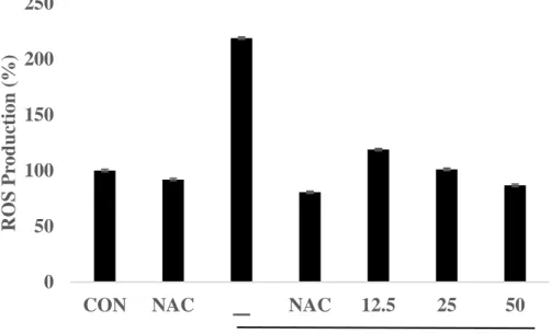 Fig.  9.  Effect  of  BEMB  and  NAC  on  the  generation  of  ROS  in  LPS-stimulated  RAW264.7cells