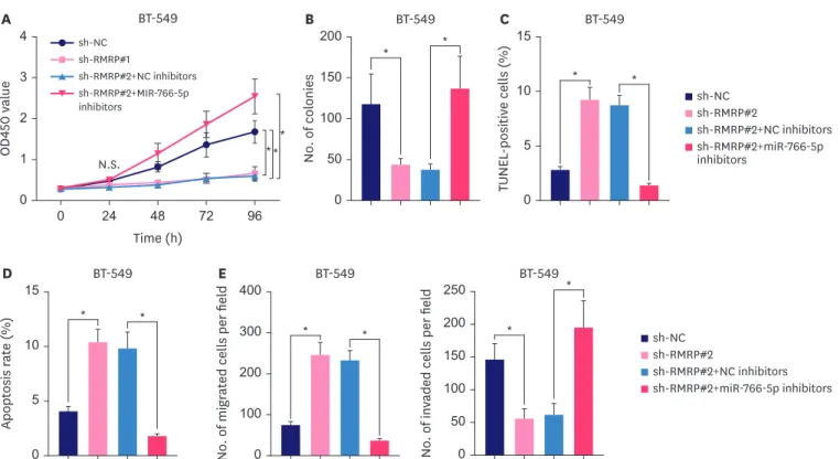 Figure 5. Aggravation of proliferative, migratory, invasive capacities and suppression of apoptosis of triple-negative breast cancer cells by RMRP via miR-766- miR-766-5p