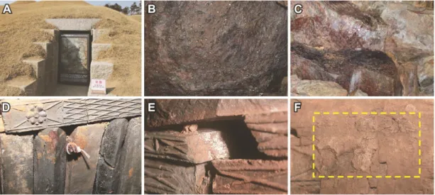 Figure 3. Present status of Royal Tombs at Songsanri. (A) Status of the tombs closed permanently, (B) Condensation  on the ceiling in the tomb No