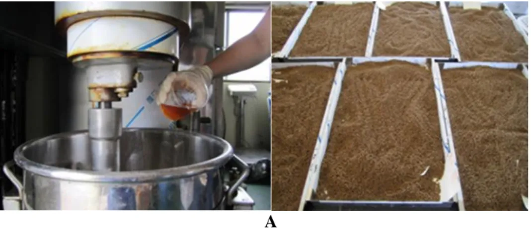 Figure  1.  Preparation  of  experimental  diets  for  four  weeks  feeding  trial  (A)  and