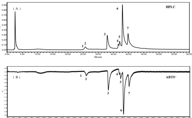 Fig.  7.  On-line  HPLC  analysis  of  SPE.  (A)  HPLC  chromatogram,  (B)  ABTS +