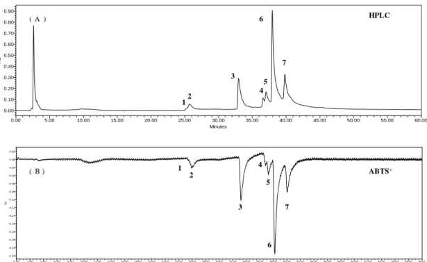 Fig.  7.  On-line  HPLC  analysis  of  SPE.  (A)  HPLC  chromatogram,  (B)  ABTS +