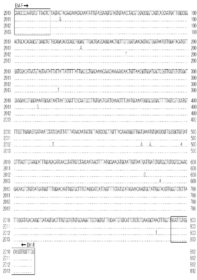 Fig. 9. Comparison analysis of the DNA nucleotide sequences of pathogens detected form the emaciated olive  flounder  (P