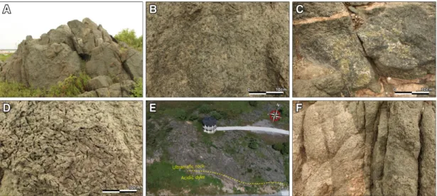 Figure 6. Field occurrences and composition showing the Geomenyeo. (A) Various petrography of the ultramafic igneous  complex, (B) Coarse grained with dark green ultramafic igneous rock, (C) Olivine aggregates showing on surface of  ultramafic rock, (D) We