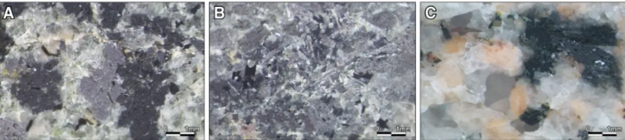 Figure 8. Stereoscopic images of the rock samples. (A) Coarse grained equigranular textured ultramafic rock of YM-1,  (B) Fine grained ultramafic rock of YM-2, (C) Pinkish medium grained granite of YF-1.