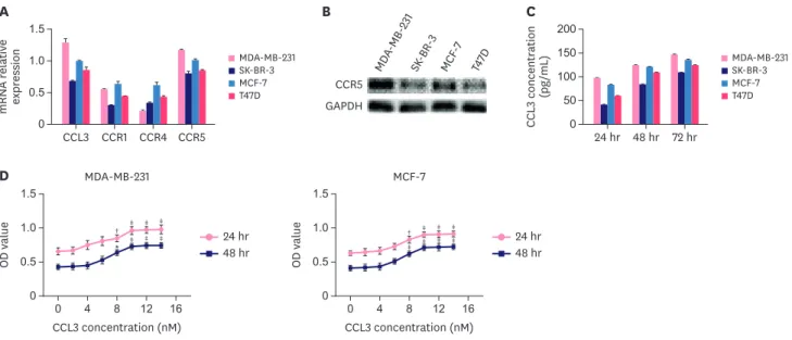 Figure 1. Effect of CCL3 on breast cancer cells in vitro. (A) RT-PCR was performed to determine the relative mRNA expression levels of CCL3, CCR1, CCR4, and  CCR5 in different breast cancer cell lines