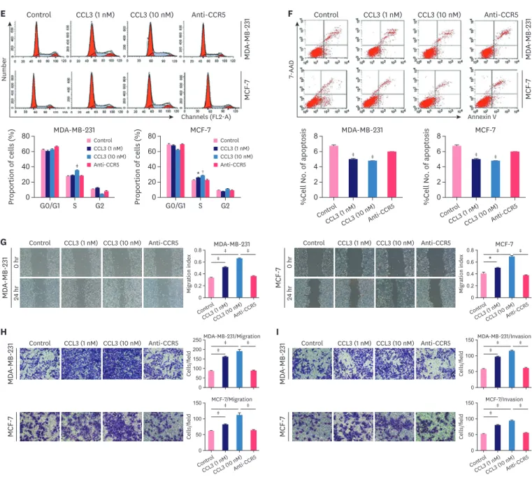 Figure 2B). The flow cytometry analysis revealed that CCL3 knockdown increased the  rate of apoptotic breast cancer cells (Figure 2C)