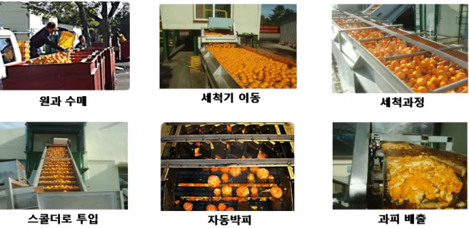 Figure 1-1. A process of citrus by-product pre-treatment.    