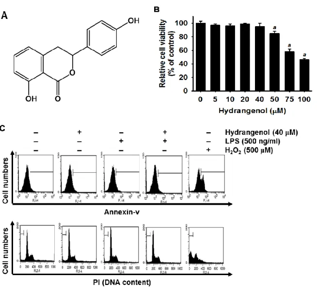 Figure  1.    Effects  of  Hydrangenol   on  viability  of  BV2  microglia l  cells.   