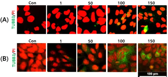 Fig. 3. Anti-bacterial effects of G. elata extracts on (A) E. coli, (B) S. aureus and  (C) P