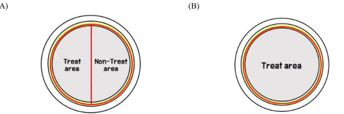 Figure 1. Evaluation of avoidance and contact toxicity. (A): Repellency test column, dividing the circular filter paper  in half, applying the termiticide on the left, and not on the right
