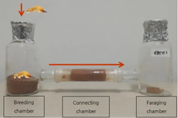Figure 2. Structure and direction of soil penetration testing.