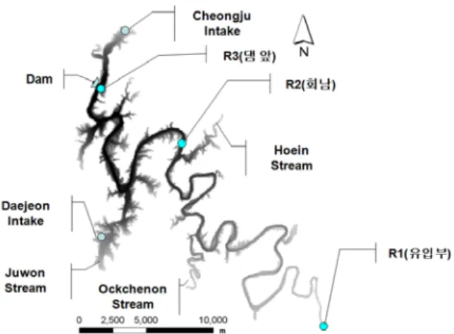 Fig.  1.  Schematic  Description  of  Reservoir                      Density  Flow  Processes