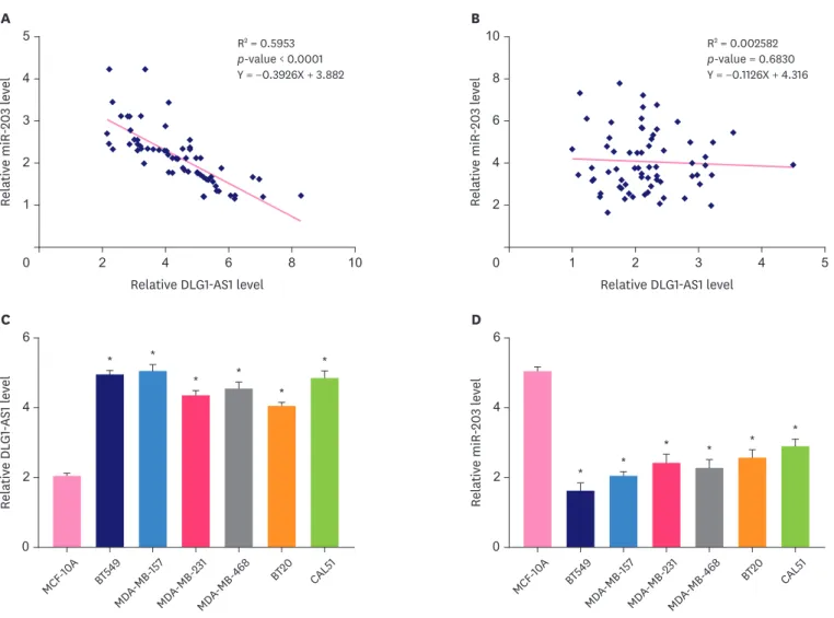 Figure 2. Inverse correlation of DLG1-AS1 and miR-203 in TNBC tissues and cells. 