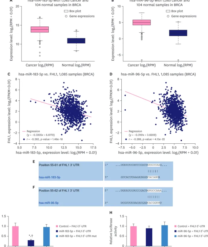 Figure 4. MiR-183-5p and miR-96-5p expression were upregulated and negatively correlated with FHL1 expression in BC tissues, and miR-183-5p directly targeted  FHL1 to downregulate its expression