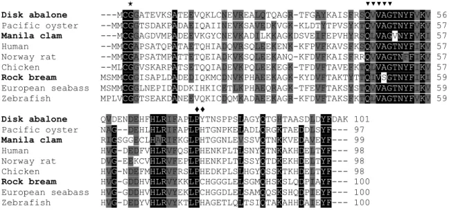 Fig. 7. Alignment of the RbCyt B, AbCyt B and McCyt B amino acid sequences with selected known 