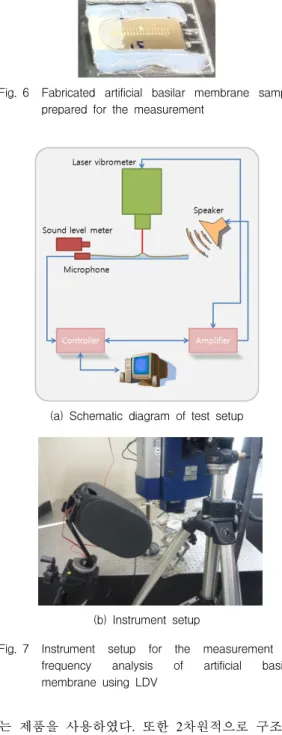 Fig. 7 Instrument  setup  for  the  measurement  of  frequency  analysis  of  artificial  basilar  membrane  using  LDV