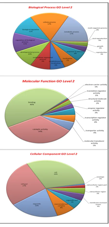 Figure 2. Gene Ontology (GO) analysis     