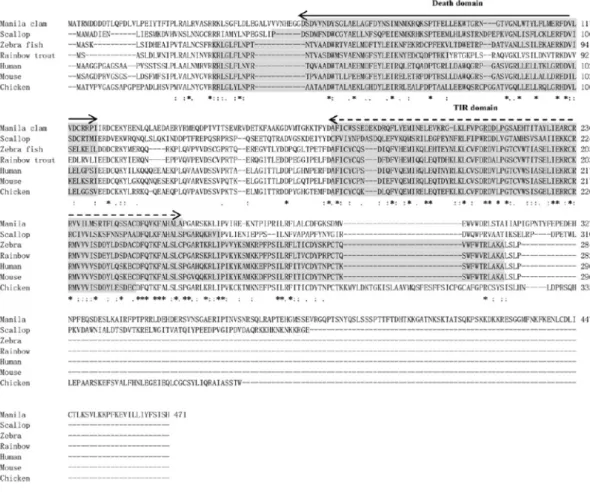 Figure 4. Multiple alignment of RpMyD88 with other known MyD88 amino acid sequences.  The  death  and  TIR  domainsare  indicated  with  continuous  and  discontinuous  arrows,  respectively