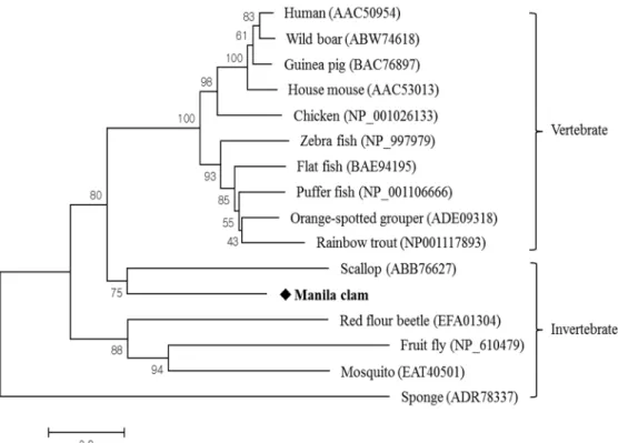Figure  5.  Phylogenetic  analysis  of  RpMyD88.  The  number  at  each  node  indicates  the  percentage  of  bootstrapping  after  1000  replications
