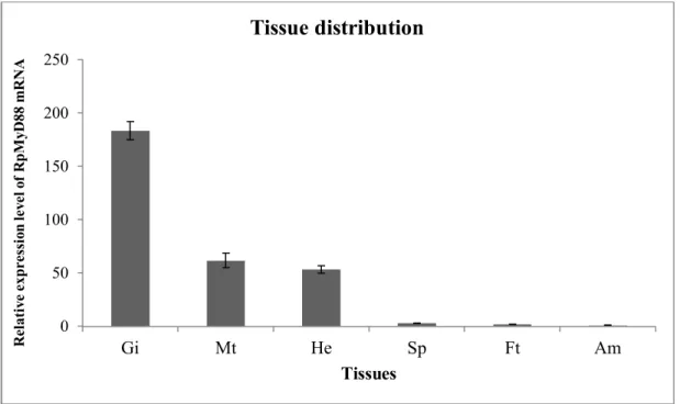 Figure  6.  Tissue-specific  expression  analysis  of  RpMyD88  mRNA.  The  relative  mRNA  expression of each tissue was normalized with that in adductor muscle