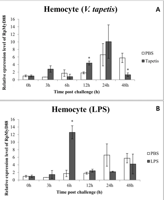 Figure 7. Expression profiles of RpMyD88 mRNA in manila clam hemocytes after V. tapetis  (A)  and  LPS  (B)  challenge