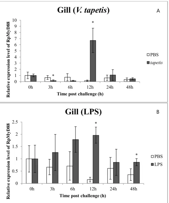 Figure 8. Expression profiles of RpMyD88 mRNA in manila clam gill tissue after V. tapetis  (A)  and  LPS  (B)  challenge