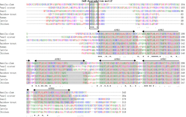 Figure  10.  Multiple  alignment  of  Rp-IκB  with  other  selected  species  IκB  amino  acid  sequences