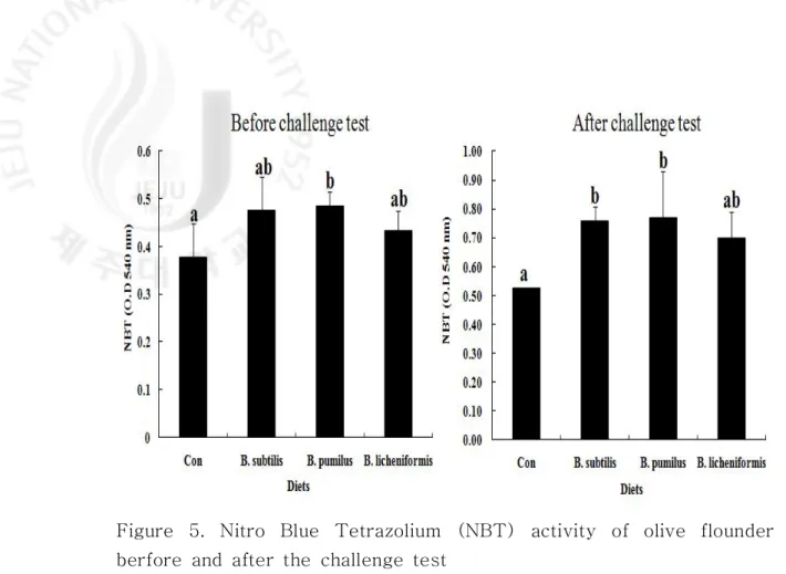 Figure  5.  Nitro  Blue  Tetrazolium  (NBT)  activity  of  olive  flounder  berfore  and  after  the  challenge  test